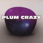 plum-crazy-1